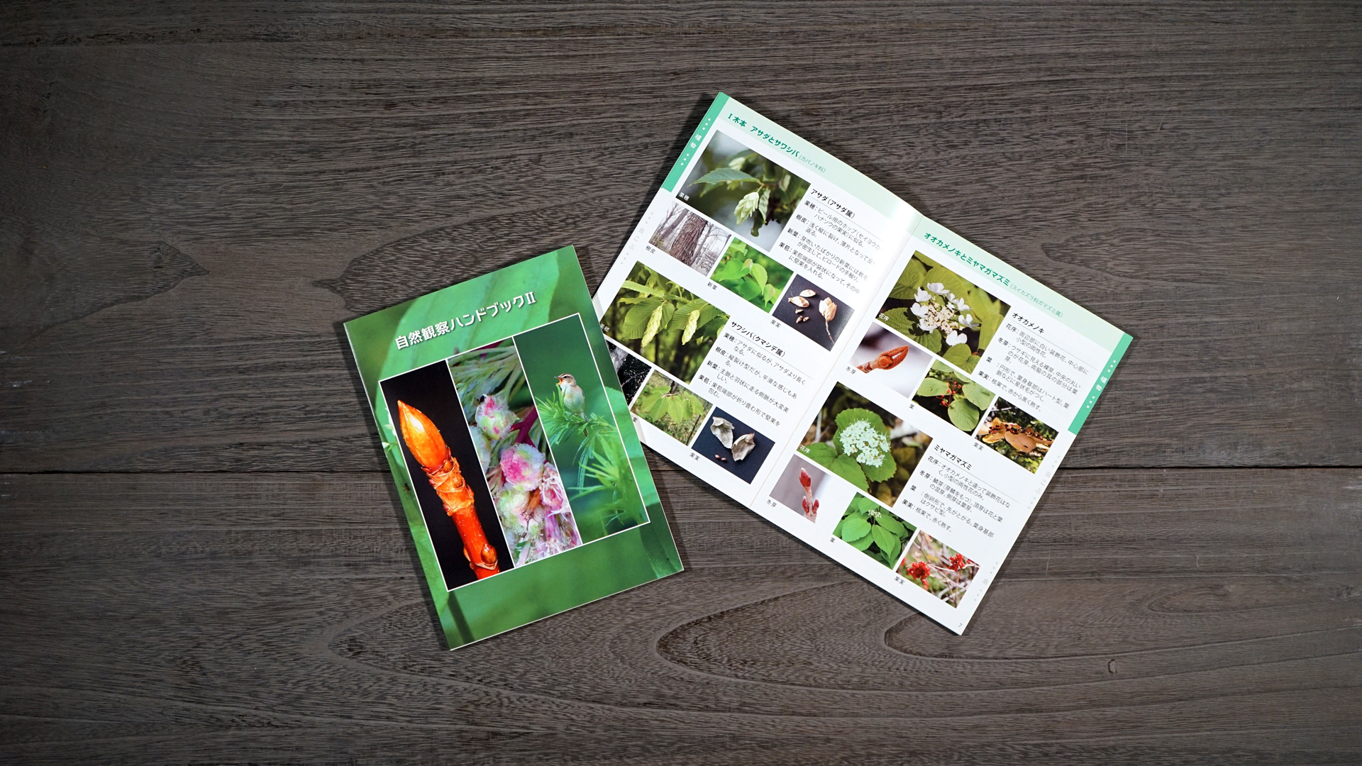 自然観察ハンドブックⅡ