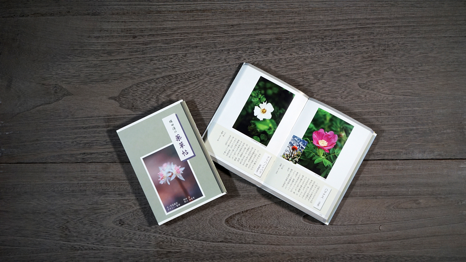 堀田清の薬草帖