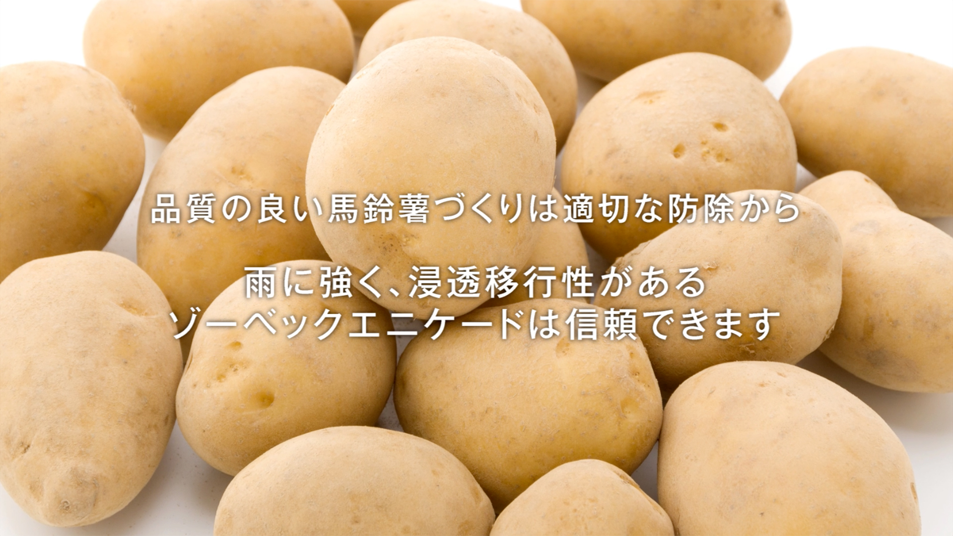 商品プロモーション動画