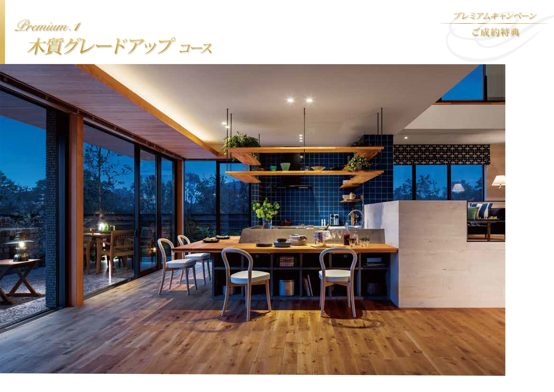 キャンペーンパンフレット