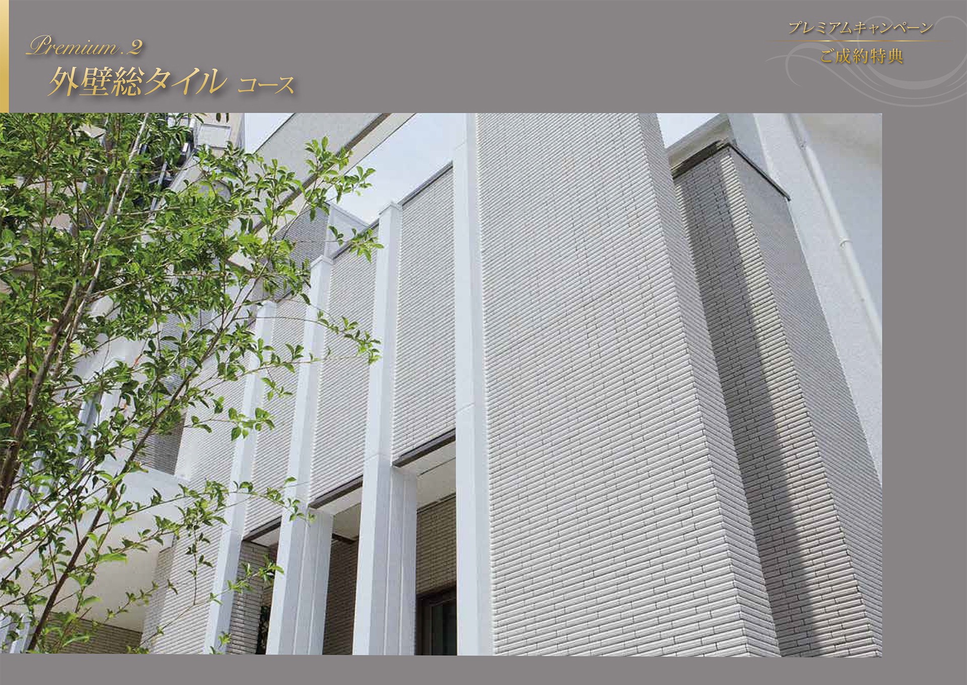 キャンペーンパンフレット