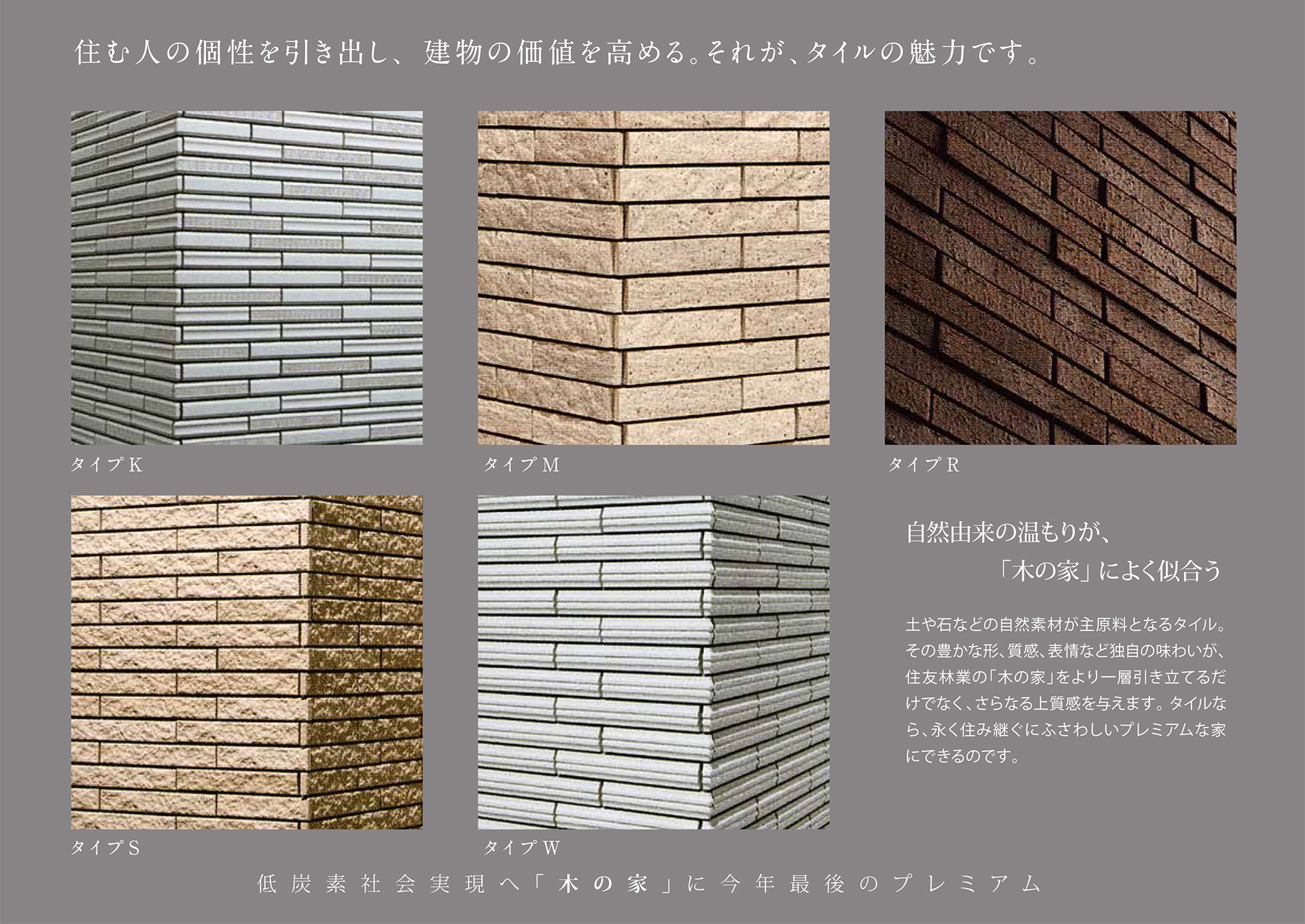 キャンペーンパンフレット